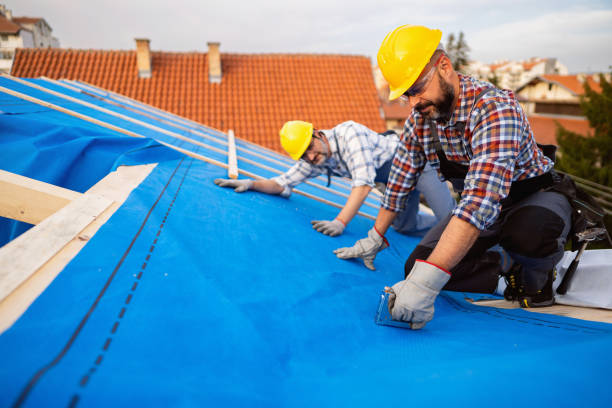 Best Roof Maintenance Services  in Russellville, KY